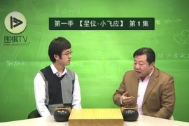 围棋TV网之猫哥讲定式（标清视频）百度网盘