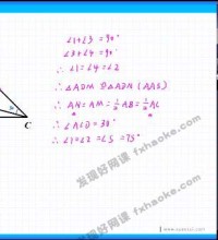 朱韬初三数学下册中考复习讲解-讲课截图(2)