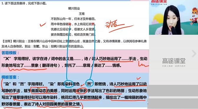 谢欣然2020届高考语文二三轮辅导-讲课截图(3)